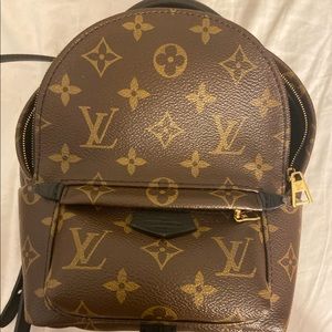 Louis Vuitton Palm Springs Mini Backpack